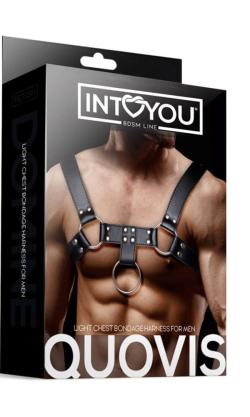 harnais fetish quovis intoyou